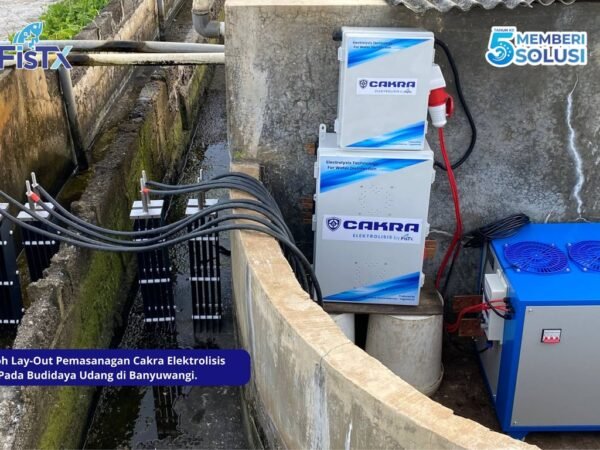 Era Baru Budidaya Udang Indonesia Tiba : FisTx Terapkan Sistem Perlindungan Berlapis UV dan Elektrolisis di Tambak Banyuwangi