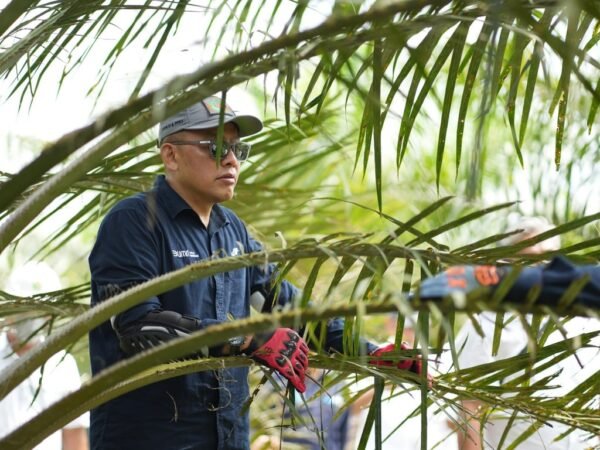 Holding Perkebunan Nusantara Siaga Hadapi Kemarau, PalmCo Perkuat Deteksi Dini Karhutla dan Strategi Agronomi