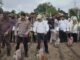 Dukung Ketahanan Pangan, Holding Perkebunan Nusantara Lewat PalmCo Perkuat Kemitraan Petani di Jambi