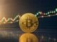 Bitcoin Mulai Stabil di Tengah Sentimen Pasar yang Membaik, Bittime Soroti Pentingnya Diversifikasi Portofolio