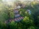 Metland Venya Ubud Raih Dua Penghargaan Asia Pacific Property Awards 2026 – 2027