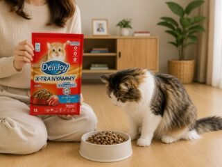Dry Food Kucing yang Bagus untuk Kesehatan dan Nutrisi Anabul