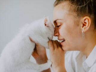 Kenali 8 Penyebab dan Cara Mengatasi Kucing Menangis