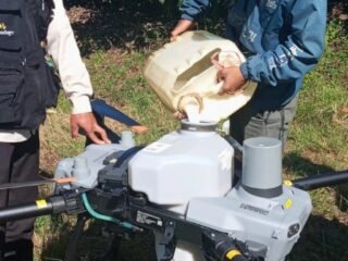 Harga Drone Pertanian DJI Agras 2026: Bandingkan T25P, T55, T70P, dan T100 Sebelum Beli