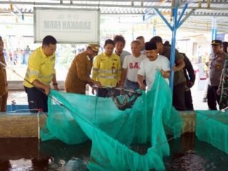Sinergi Pemda Halmahera Utara dan NHM Peduli: Dorong Kemandirian Pangan Melalui Sukses Budidaya Bioflok BUMDes Sadaka Farm
